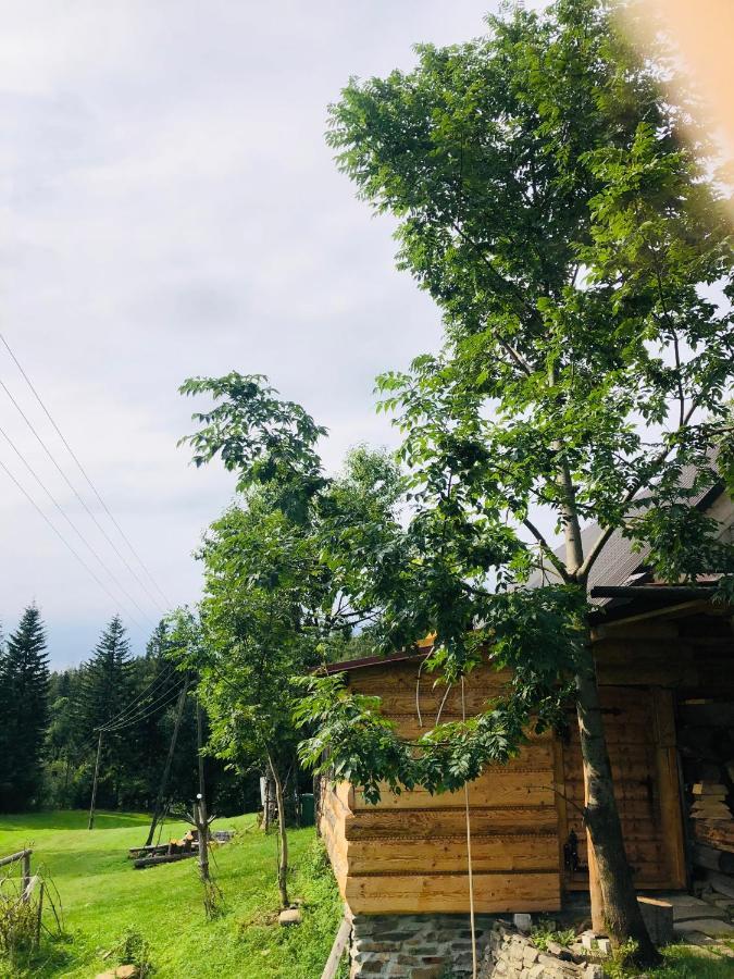 Sól Stara Chalpa Ozna 빌라 외부 사진